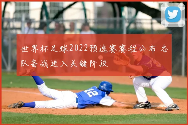 世界杯足球2022预选赛赛程公布 各队备战进入关键阶段