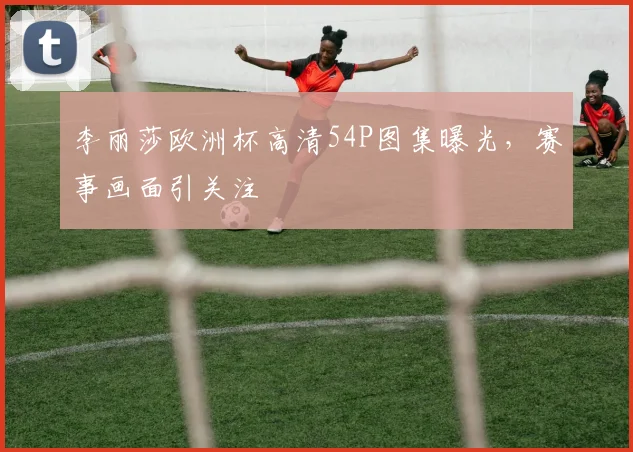 李丽莎欧洲杯高清54P图集曝光，赛事画面引关注